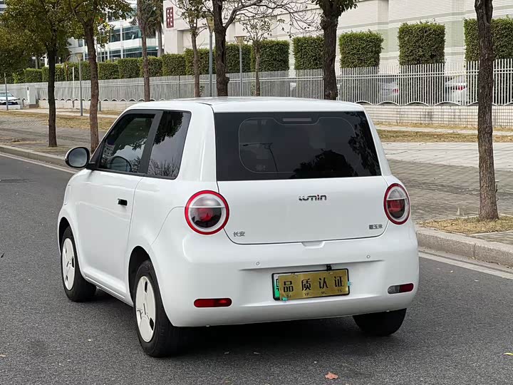 Фото 7 - Changan Qiyuan (Nevo) Lumin