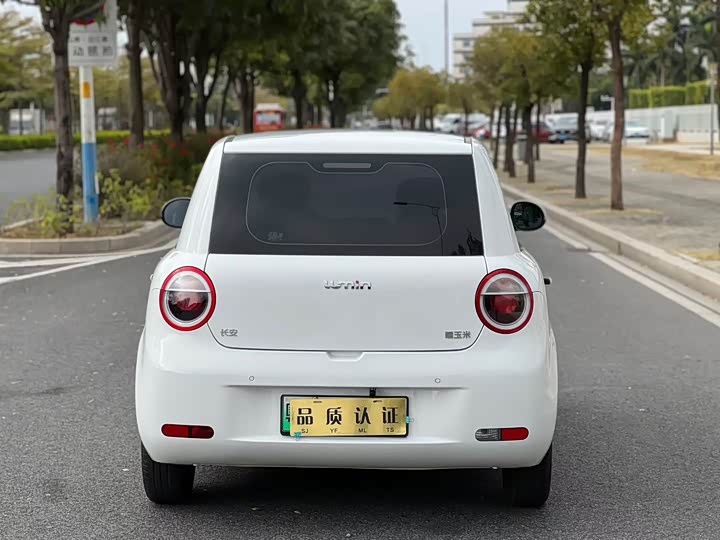 Фото 8 - Changan Qiyuan (Nevo) Lumin