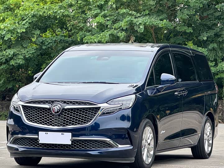 Фото 1 - Buick GL8 ES