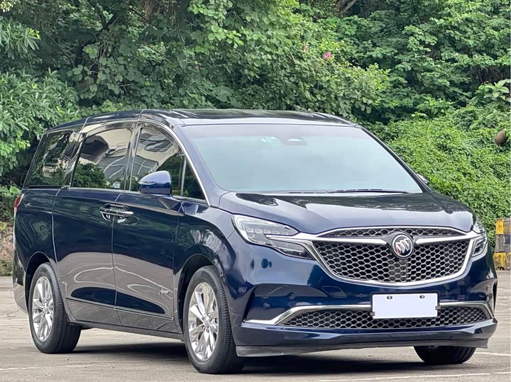 Фото 3 - Buick GL8 ES