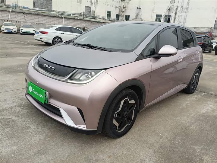 Фото 1 - BYD Dolphin