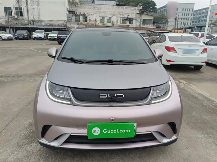 Фото 3 - BYD Dolphin