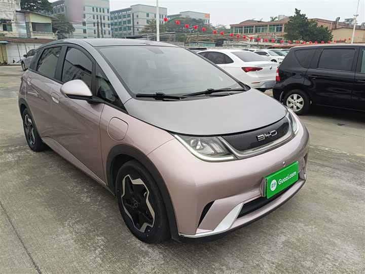 Фото 4 - BYD Dolphin