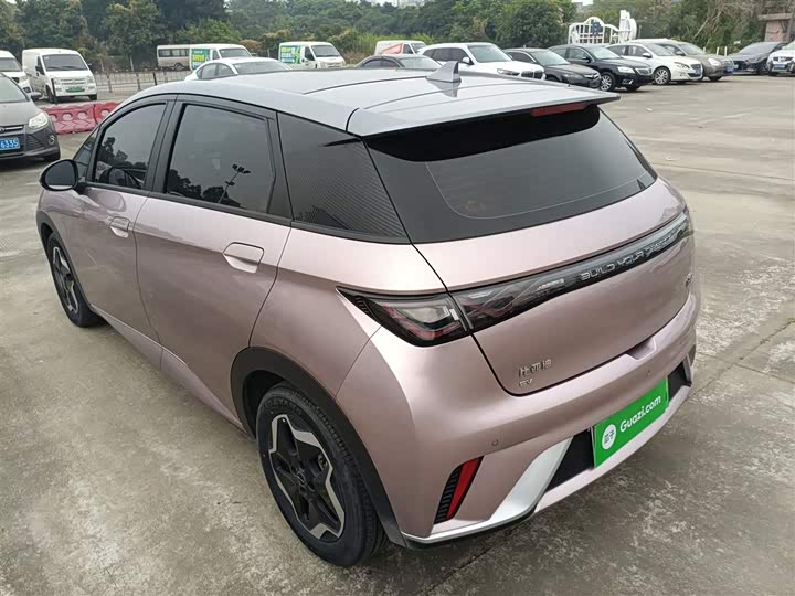 Фото 5 - BYD Dolphin