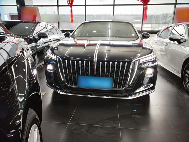 Фото 3 - Hongqi H5