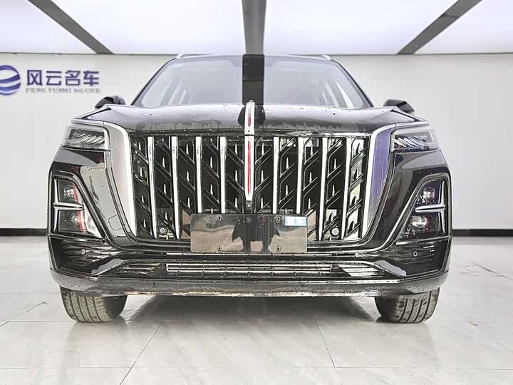 Фото 2 - Hongqi HS5