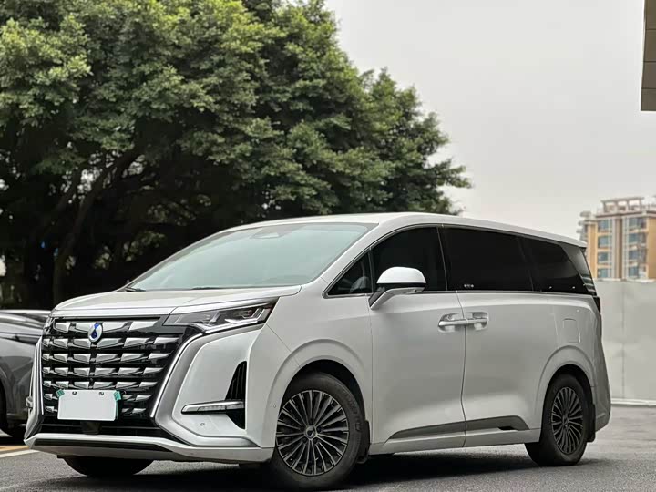 Фото 1 - Denza D9