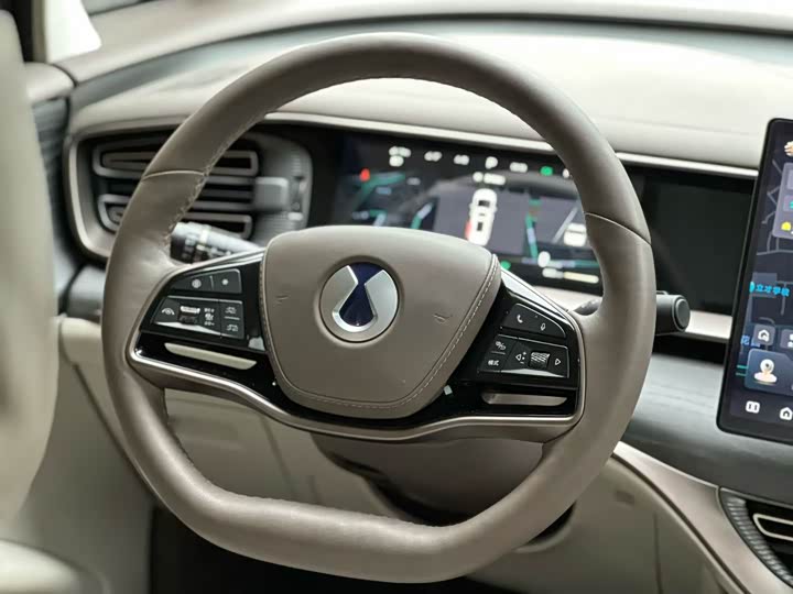 Фото 2 - Denza D9