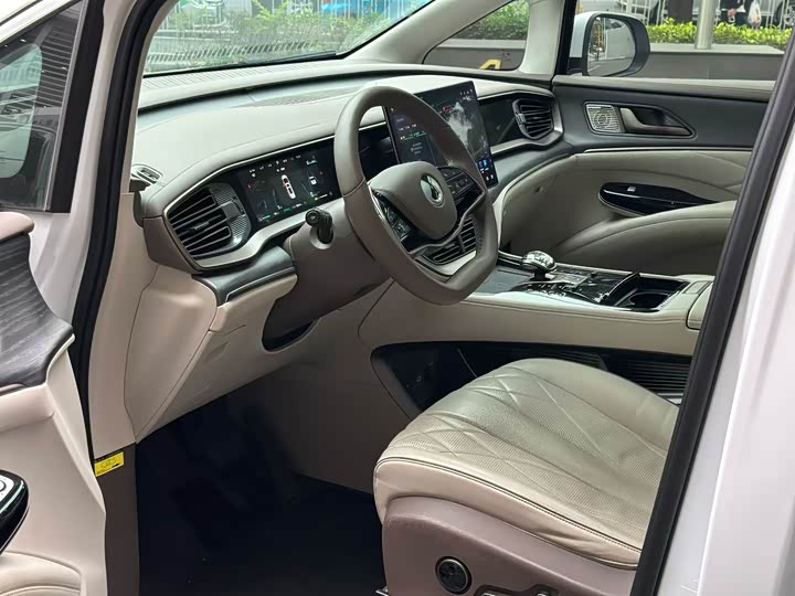 Фото 4 - Denza D9