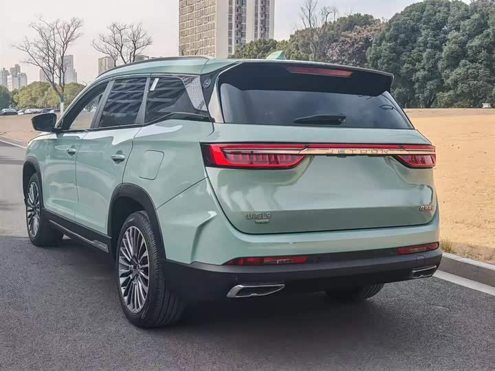 Фото 8 - Jetour Shanhai L9