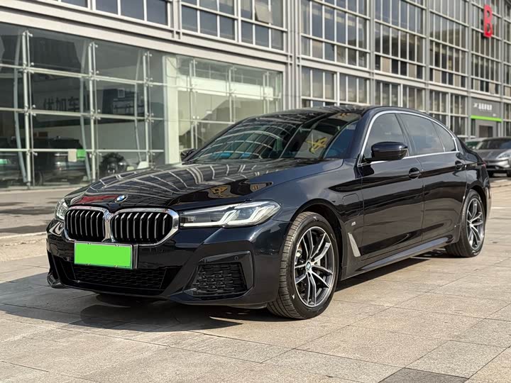 Фото 1 - BMW 5 Series Hybrid