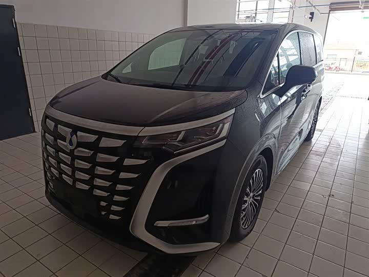 Фото 2 - Denza D9