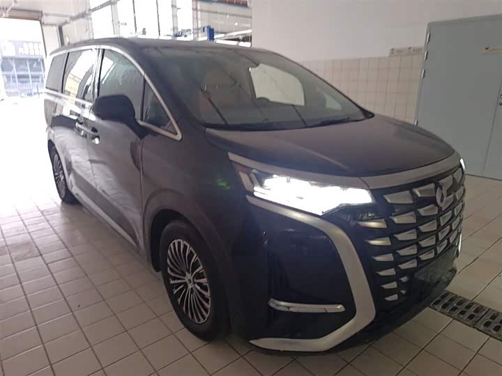 Фото 4 - Denza D9