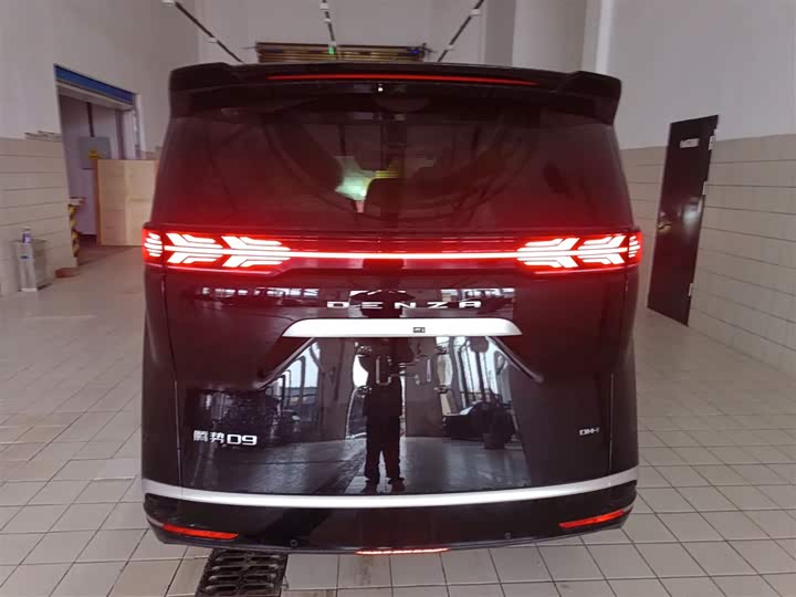 Фото 6 - Denza D9