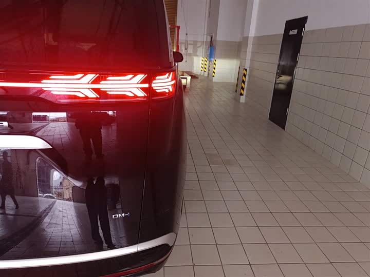 Фото 8 - Denza D9