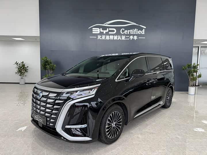 Фото 1 - Denza D9