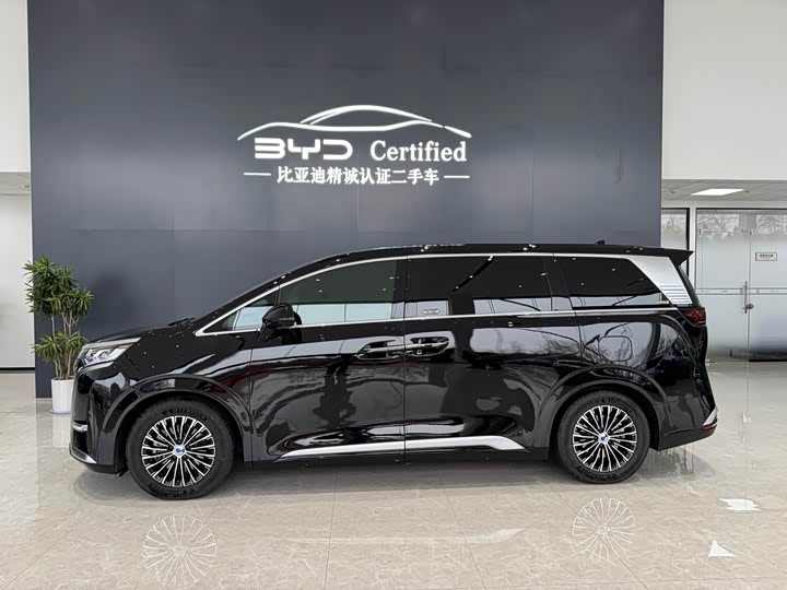 Фото 3 - Denza D9