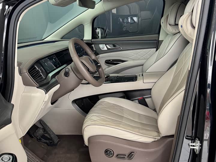 Фото 4 - Denza D9