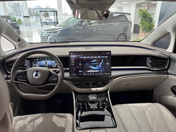 Фото 6 - Denza D9