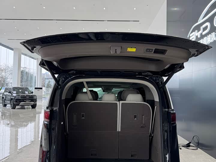 Фото 9 - Denza D9