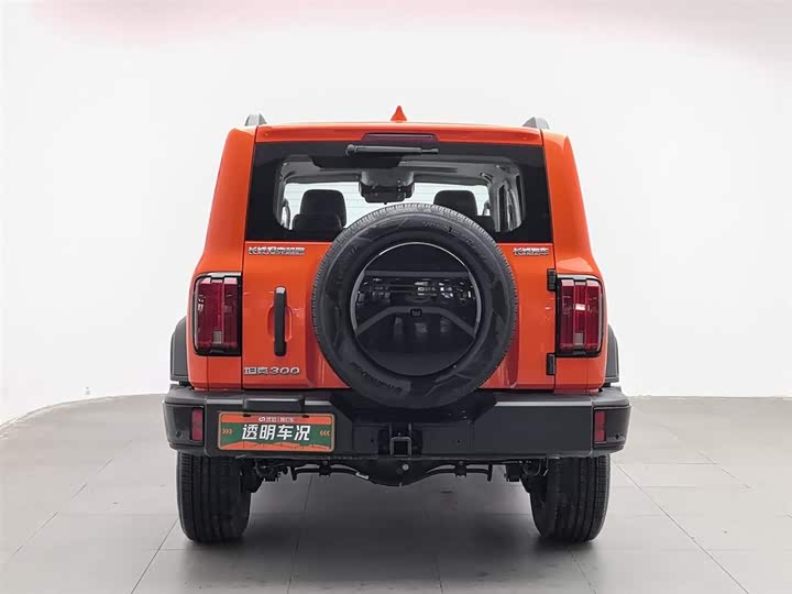 Фото 4 - Tank 300