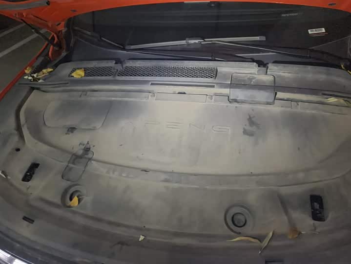 Фото 6 - XPeng G6