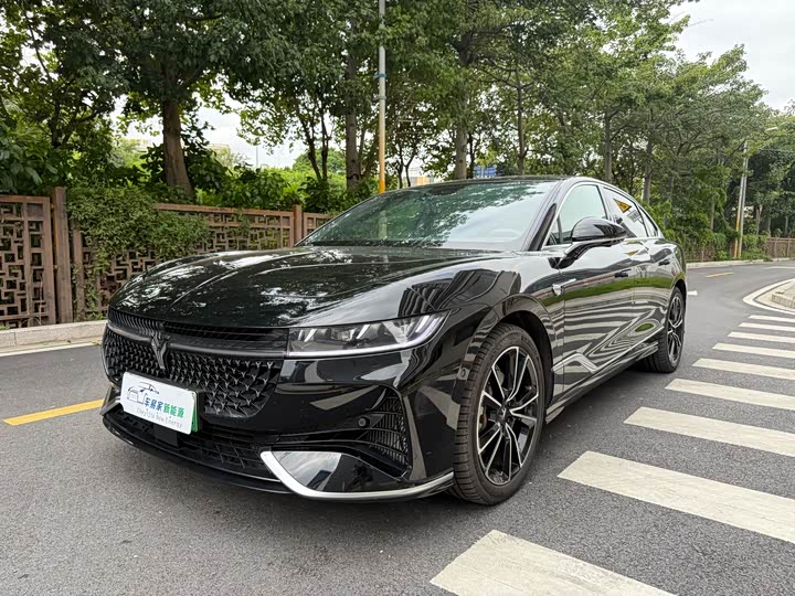 Фото 1 - Voyah Passion