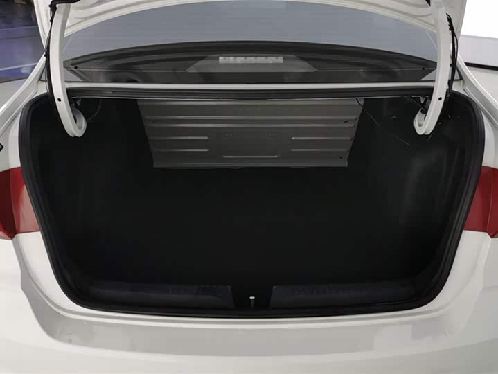 Фото 4 - Volkswagen Santana