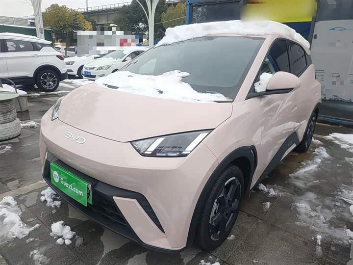 Фото 1 - BYD Seagull