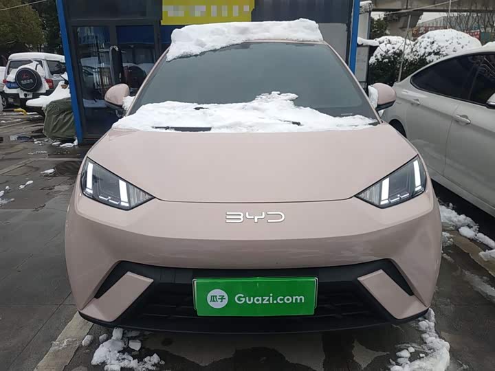 Фото 3 - BYD Seagull