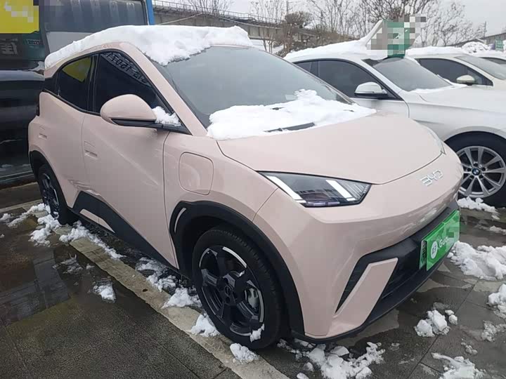 Фото 4 - BYD Seagull