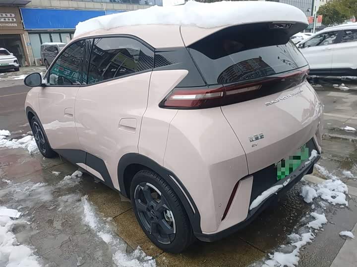 Фото 5 - BYD Seagull