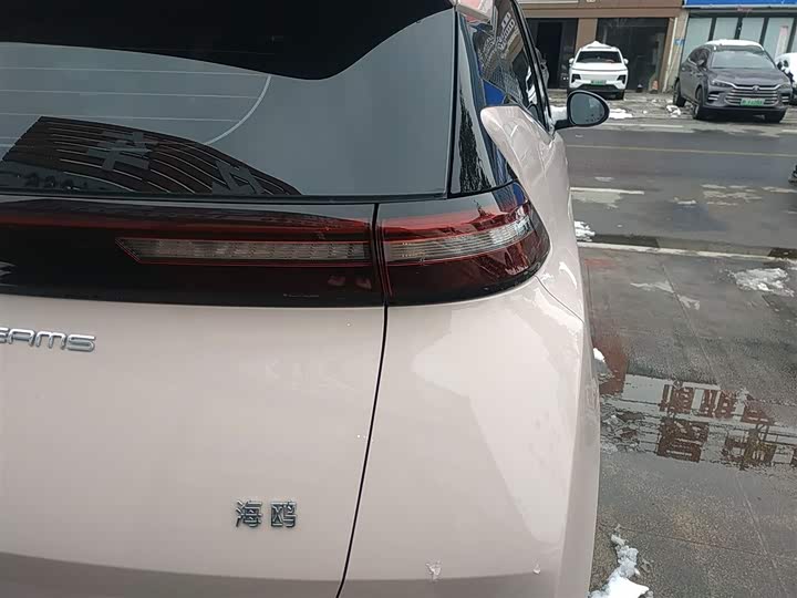 Фото 8 - BYD Seagull