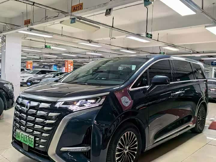 Фото 1 - Denza D9