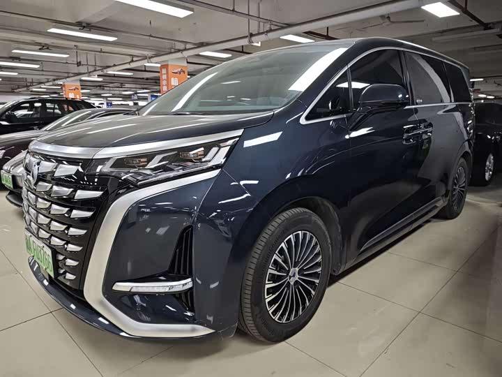 Фото 3 - Denza D9