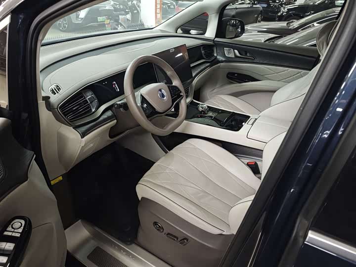 Фото 4 - Denza D9