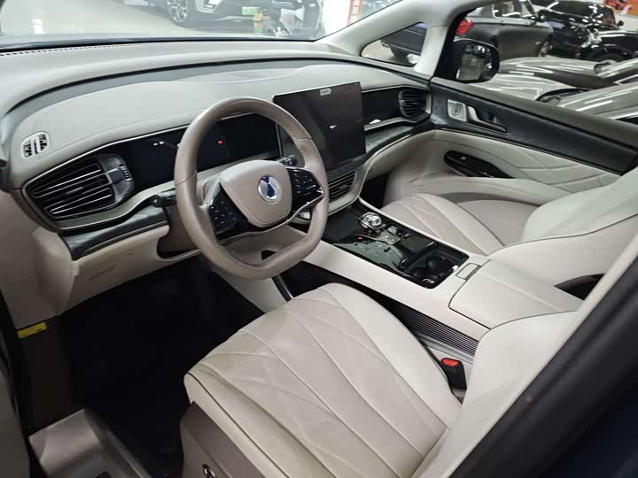 Фото 6 - Denza D9