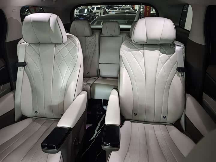 Фото 7 - Denza D9