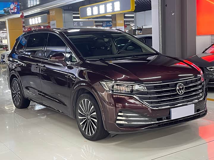 Фото 3 - Volkswagen Viloran