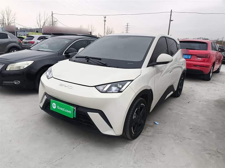 Фото 1 - BYD Seagull