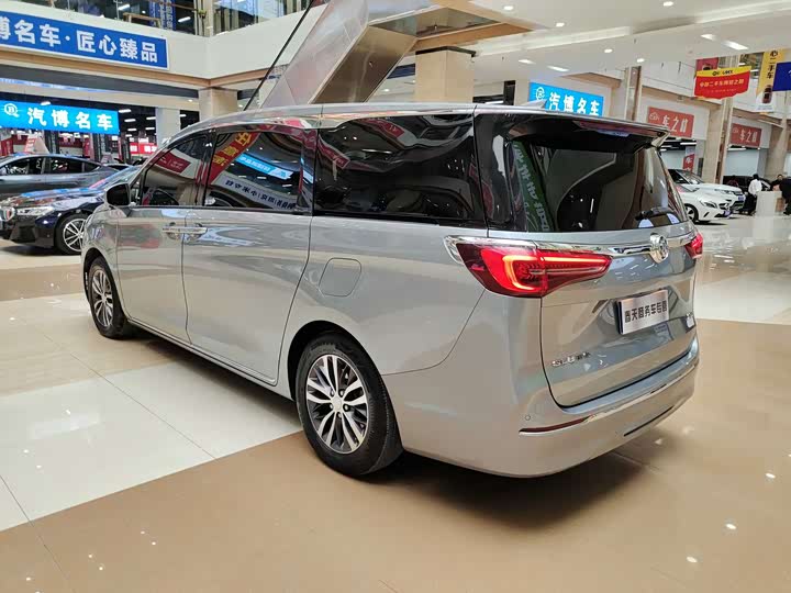 Фото 5 - Buick GL8 ES