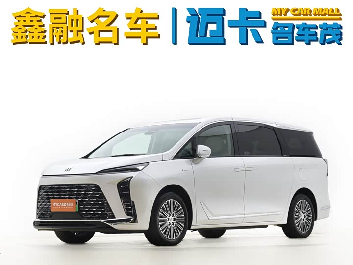 Фото 1 - Buick GL8 Hybrid