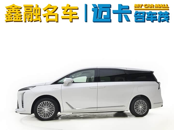 Фото 3 - Buick GL8 Hybrid