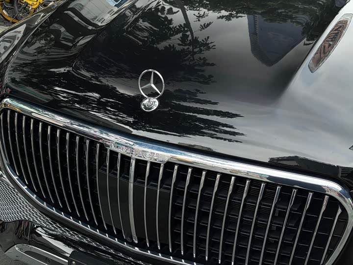 Фото 6 - Mercedes-Benz Maybach GLS