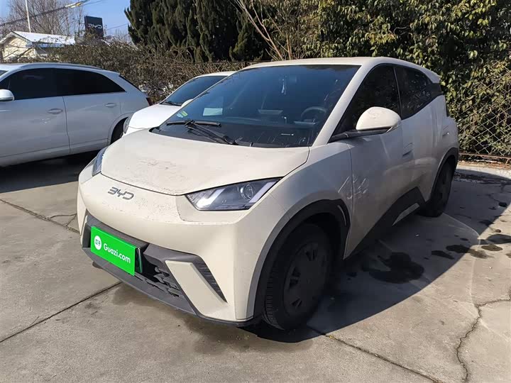 Фото 1 - BYD Seagull