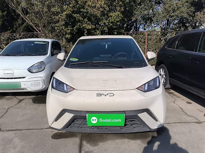 Фото 3 - BYD Seagull