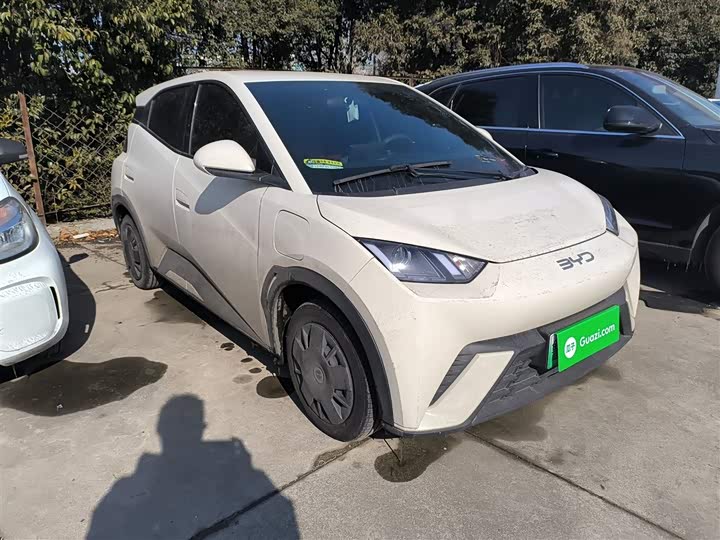 Фото 4 - BYD Seagull