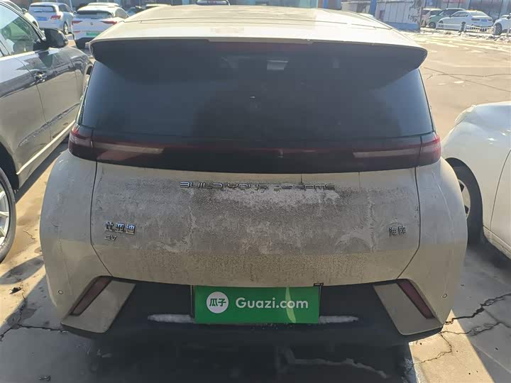 Фото 6 - BYD Seagull