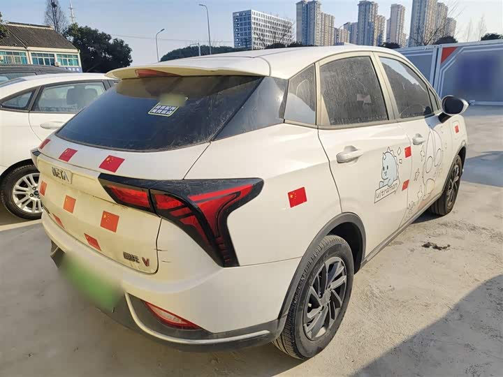 Фото 7 - Hozon V