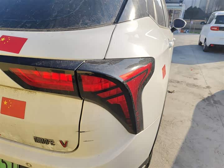 Фото 8 - Hozon V